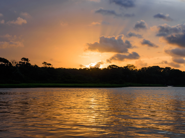 A Nature Lover's Guide to Costa Rica's National Parks